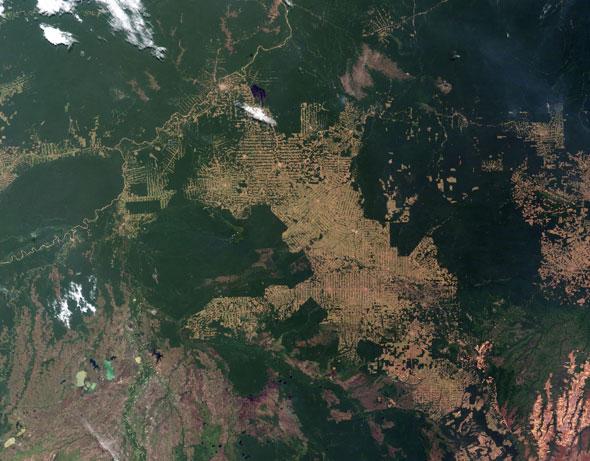 brazils-rondonia-rainforest-2008