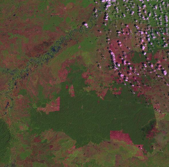 indonesias-sumatra-island-2001-forest-in-green-cleared-land-in-red_2