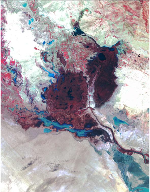 iraq-marshes-1973-marshland-in-brown