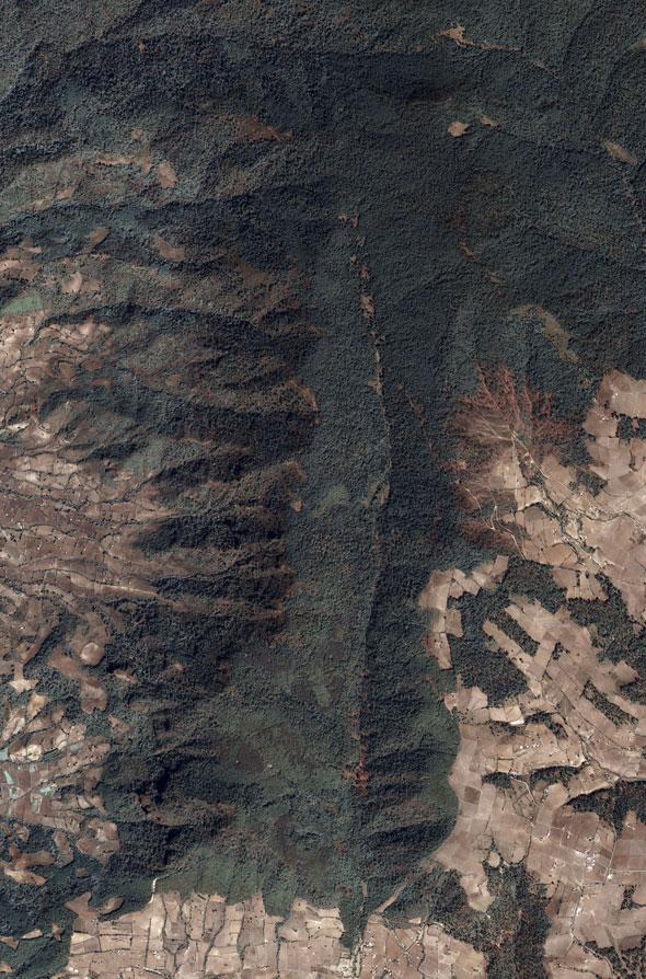 mexicos-monarch-butterfly-reserve-2004