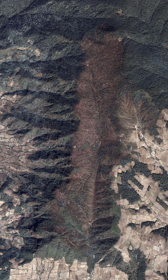 mexicos-monarch-butterfly-reserve-2008